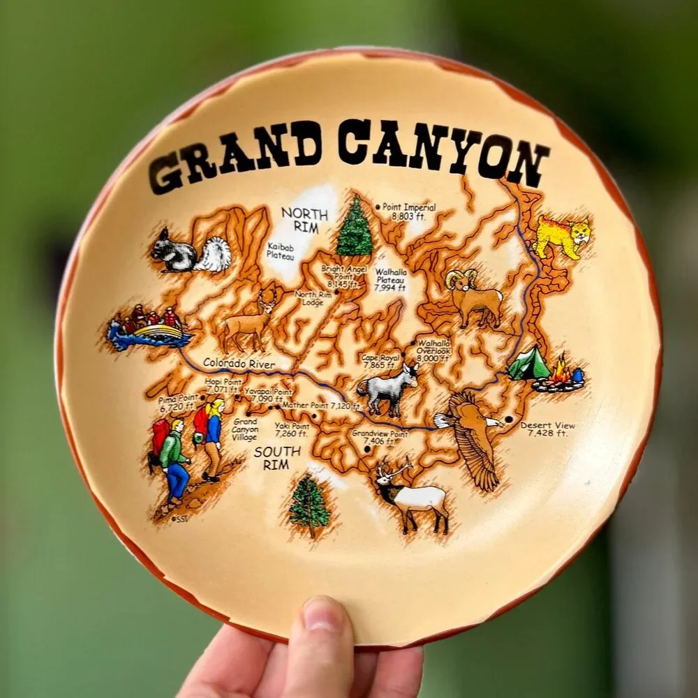 VTG Grand Canyon American Landmark Motif Round Bowl Wall Accent
